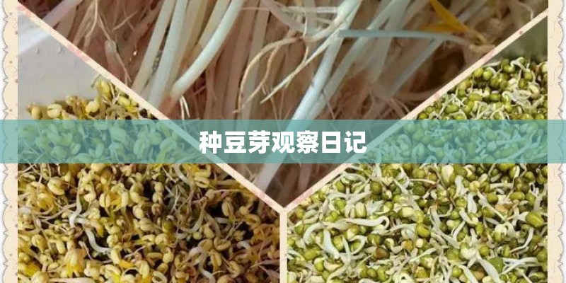 二手房买卖合同范本模板