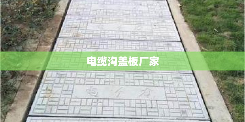 种豆芽观察日记