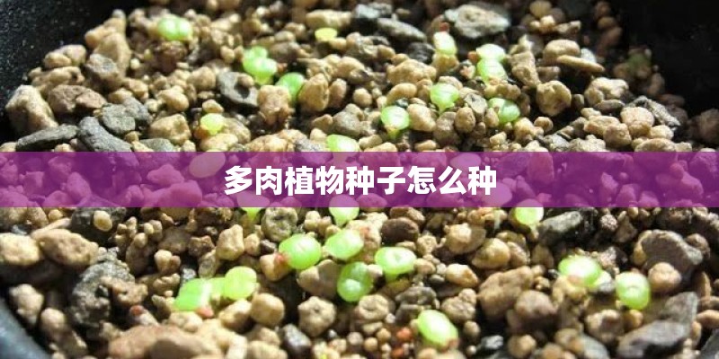 开题报告需要查重吗？