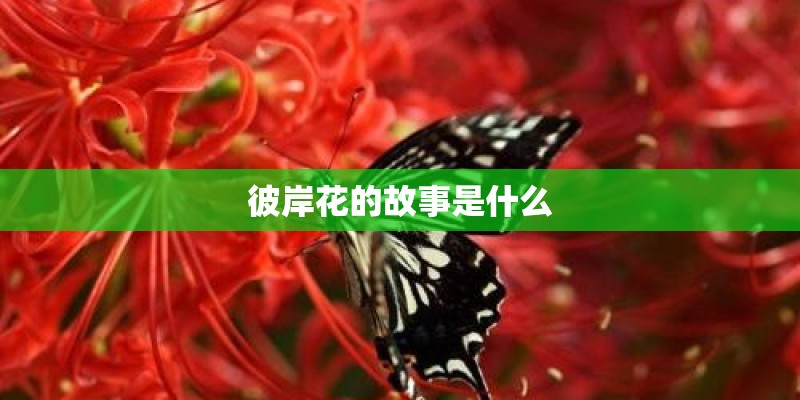 太阳镜排行榜前十名