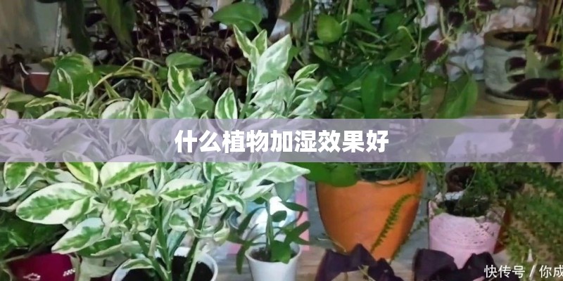 南京24小时燃气客服热线_1