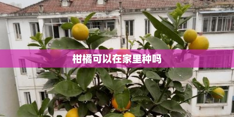 国家地理中文版的杂志简介