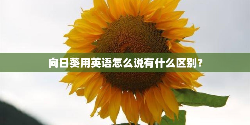 网络安全工程师都要学习什么