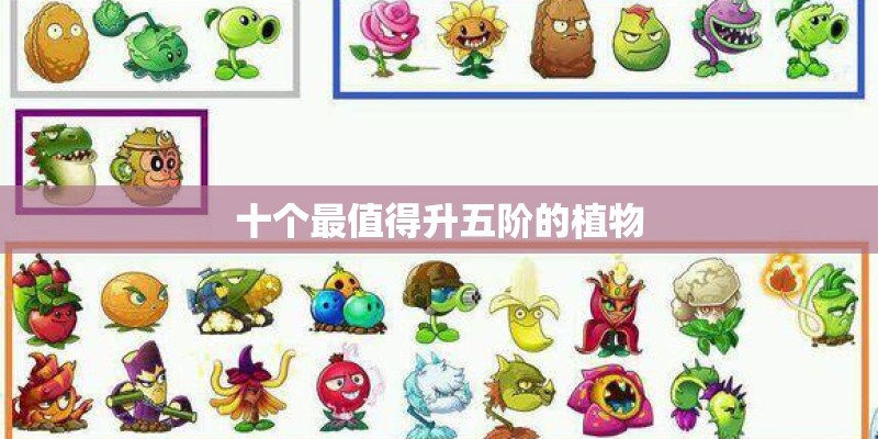 十个最值得升五阶的植物