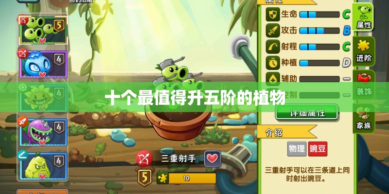 十个最值得升五阶的植物