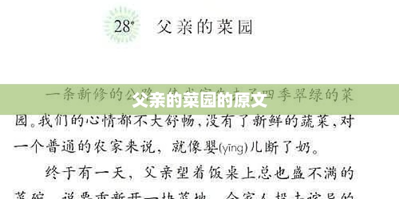 父亲的菜园的原文