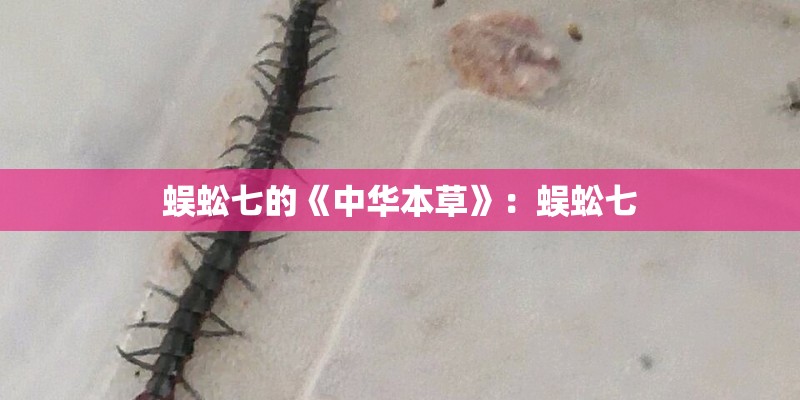 蜈蚣七的《中华本草》：蜈蚣七