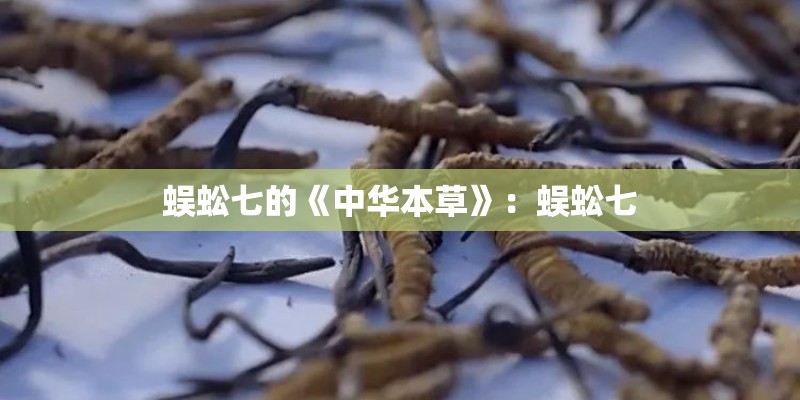 蜈蚣七的《中华本草》：蜈蚣七