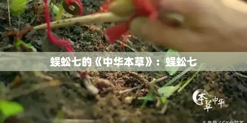 蜈蚣七的《中华本草》：蜈蚣七