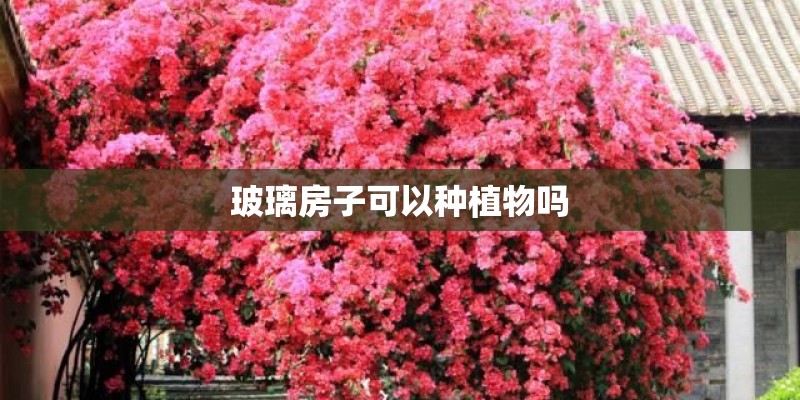 蜈蚣七的《中华本草》：蜈蚣七