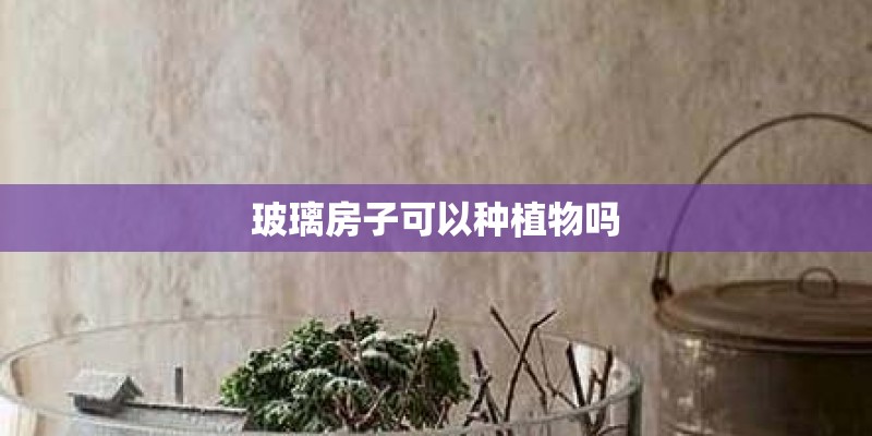 玻璃房子可以种植物吗