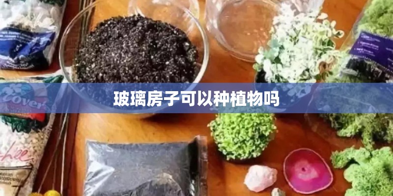 玻璃房子可以种植物吗