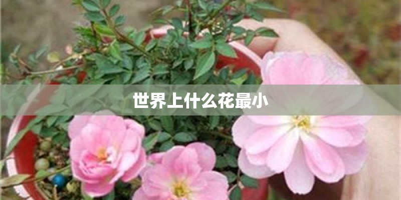 塑料生产厂