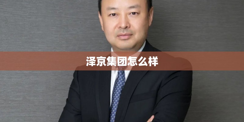 泽京集团怎么样