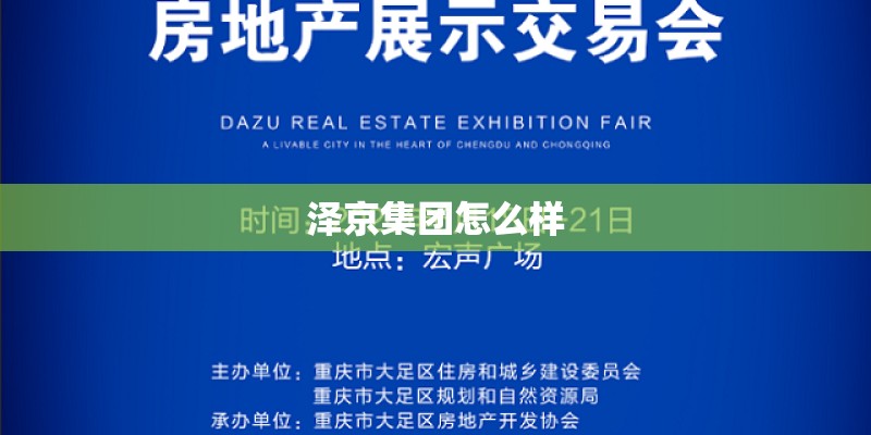 泽京集团怎么样