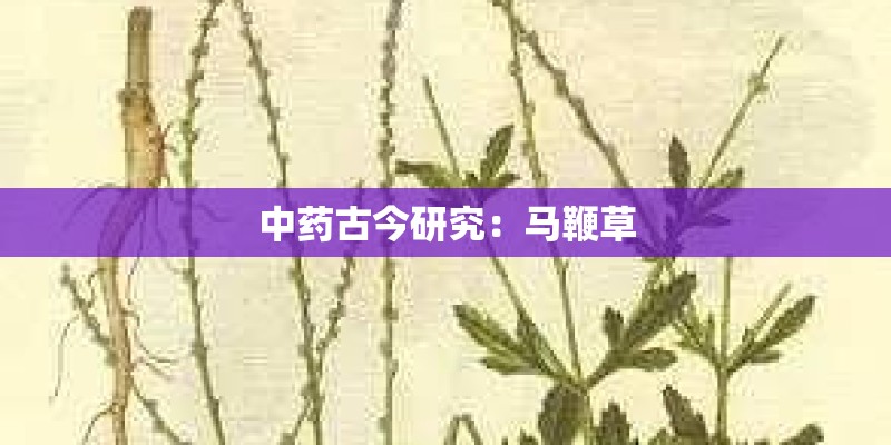 泽京集团怎么样