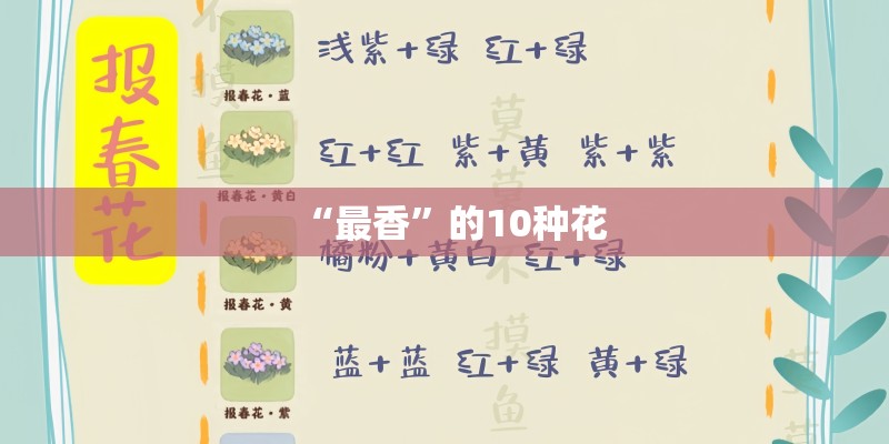 “最香”的10种花