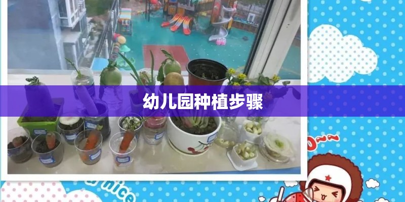 幼儿园种植步骤