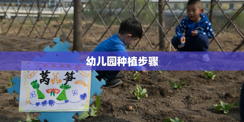 幼儿园种植步骤