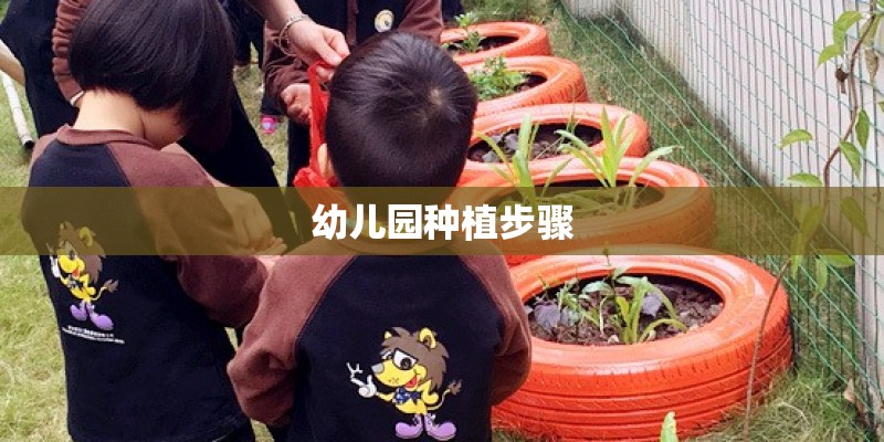 幼儿园种植步骤