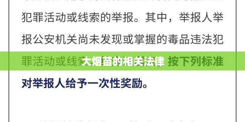 幼儿园种植步骤