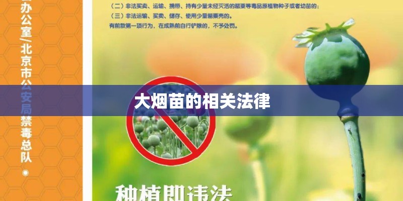 大烟苗的相关法律