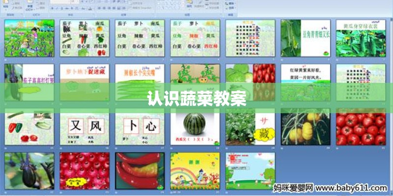 认识蔬菜教案