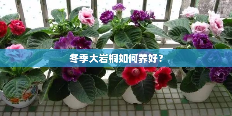 中国十大轴承制造商都有哪些？