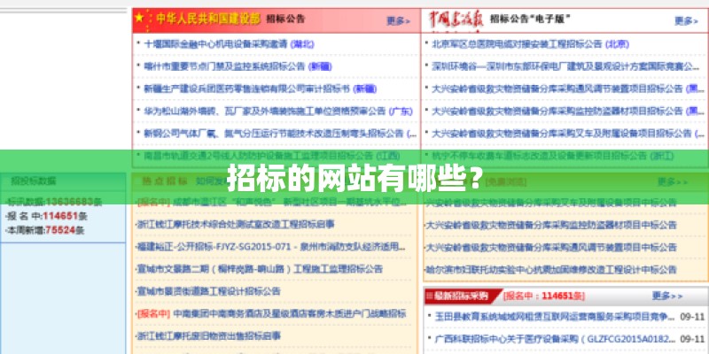 招标的网站有哪些？