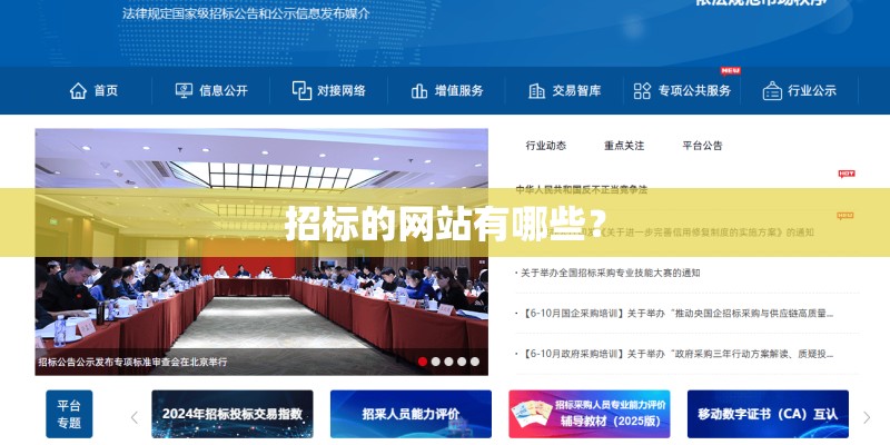 招标的网站有哪些？