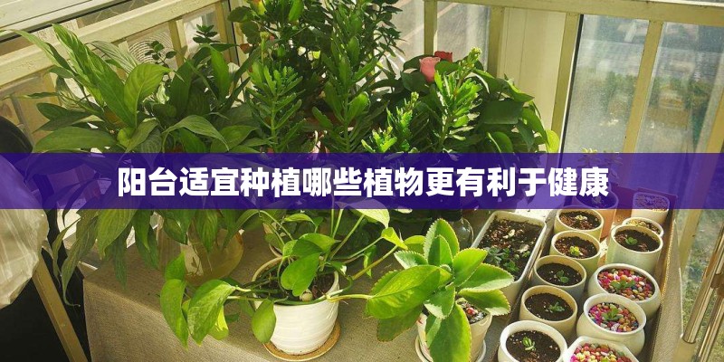 怎么查一件物品的条形码