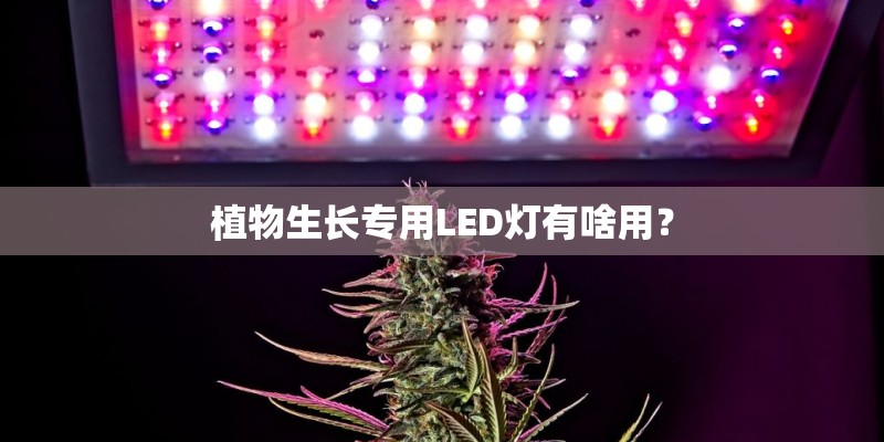 植物生长专用LED灯有啥用？