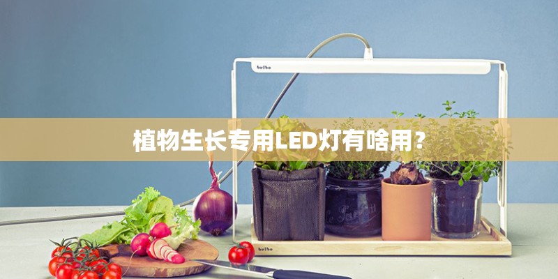 植物生长专用LED灯有啥用？