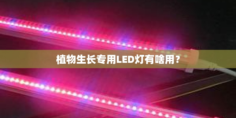 植物生长专用LED灯有啥用？