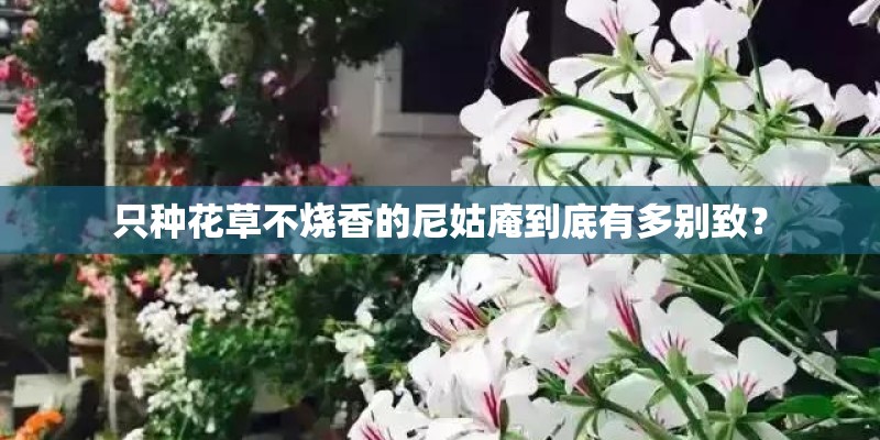 只种花草不烧香的尼姑庵到底有多别致？