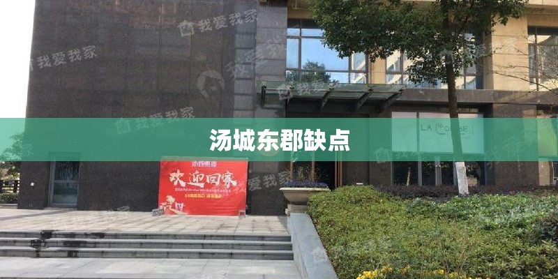汤城东郡缺点