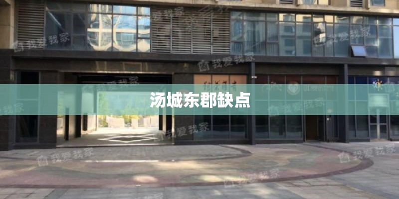 汤城东郡缺点
