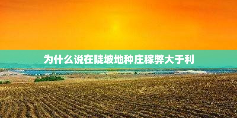 为什么说在陡坡地种庄稼弊大于利 为什么说在陡坡地种庄稼弊大于利