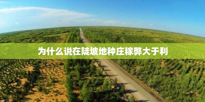 现代医学的四个分支有哪些
