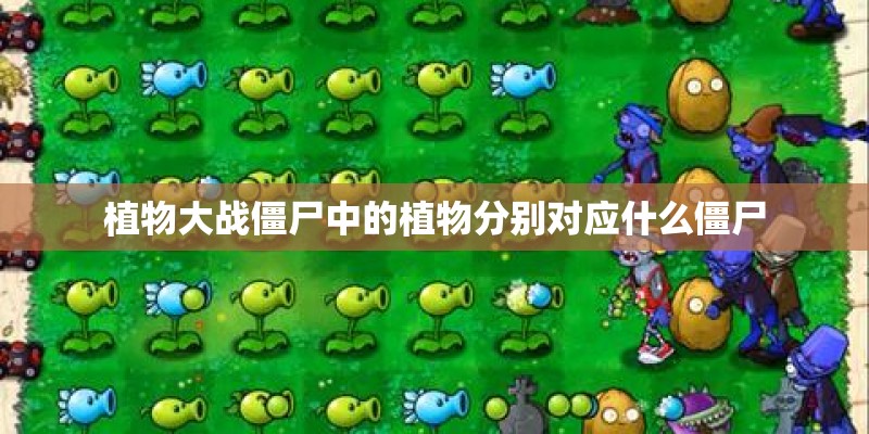 植物大战僵尸中的植物分别对应什么僵尸