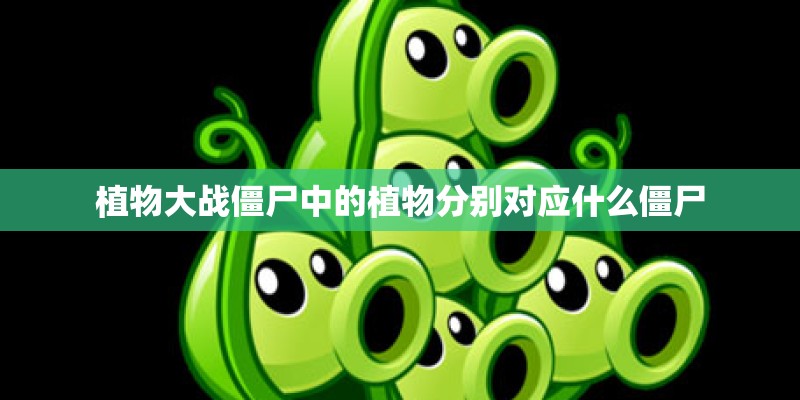 植物大战僵尸中的植物分别对应什么僵尸