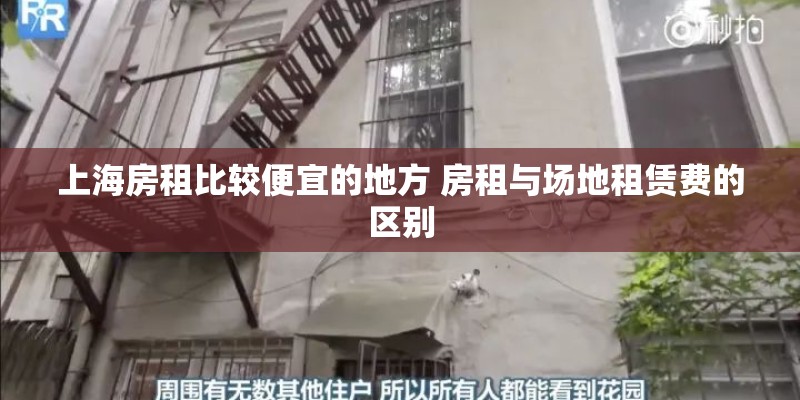 夏天什么植物发芽最快