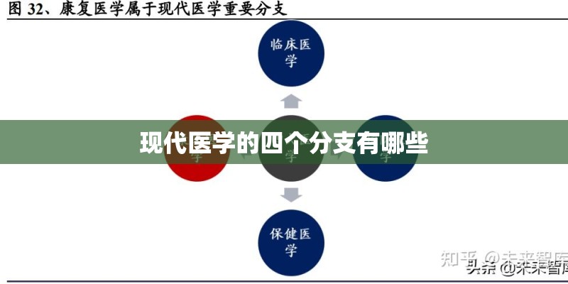 现代医学的四个分支有哪些
