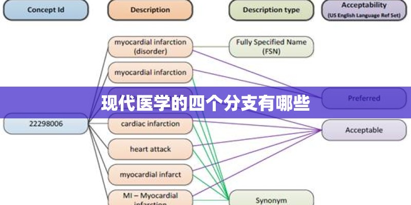 现代医学的四个分支有哪些