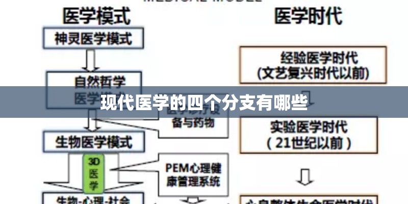 现代医学的四个分支有哪些