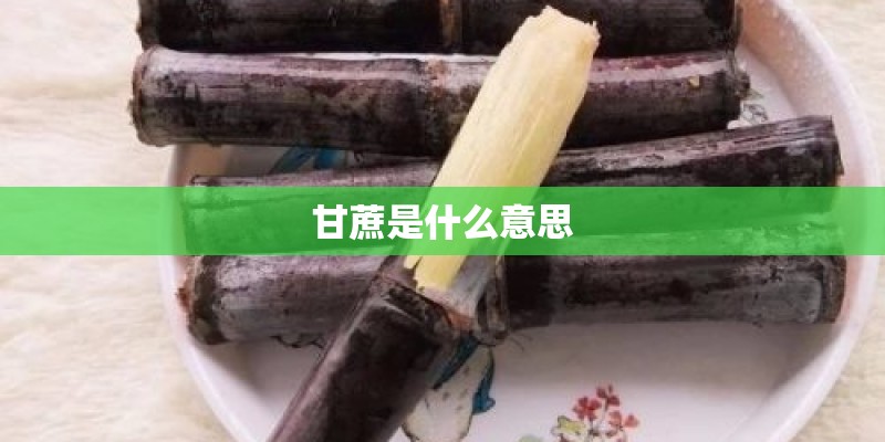 甘蔗是什么意思