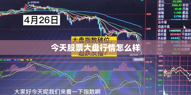 今天股票大盘行情怎么样