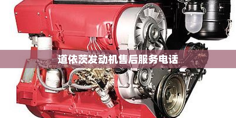 现代医学的四个分支有哪些