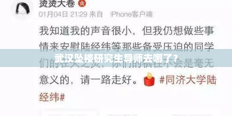 武汉坠楼研究生导师去哪了？