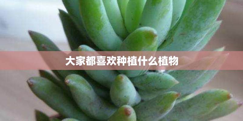 武汉坠楼研究生导师去哪了？